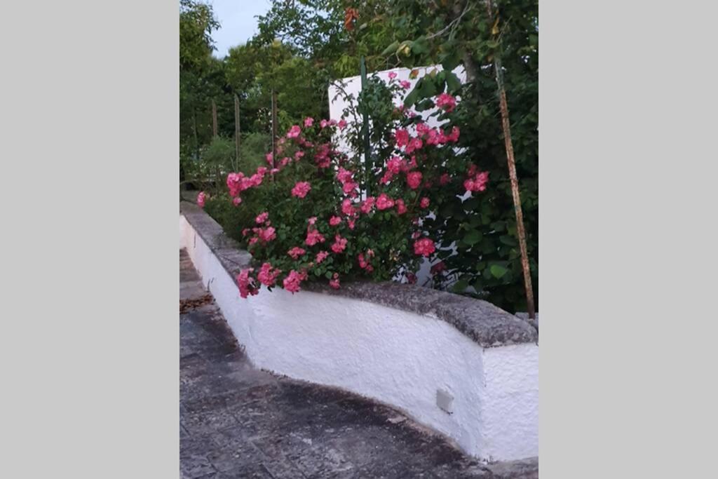 Trulli Relax A Martina Franca Villa Exterior photo